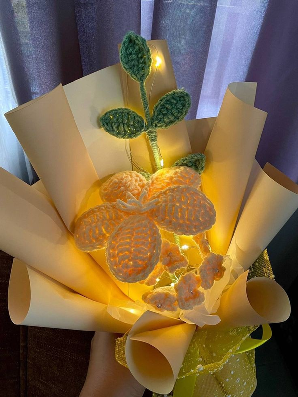 8f997324e12f5eb99ec70aa2278621de_917ddf53-99ed-4ae6-abcd-d2d796802543-4x