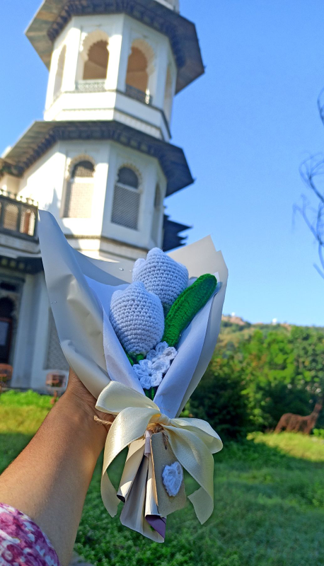 img20231011121842_5622bfc5-4c64-4608-a06e-a78502ca6fca-4x