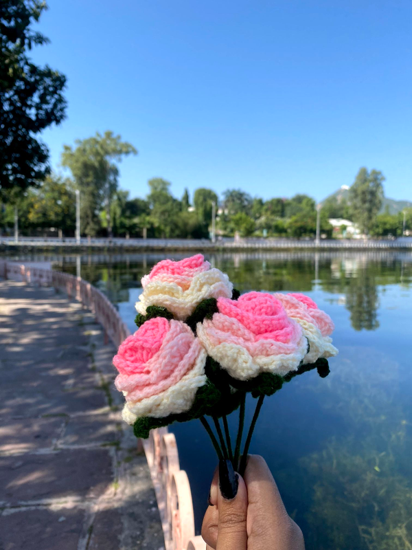 img6638_67484690-cf68-4bf9-b0e1-5d7cb7f58421-4x